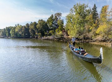 california/napa-valley/attraction/napa-valley-gondola