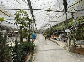 malaysia/cameron-highlands/attraction/forest-gan-monument-monument-forest-gan