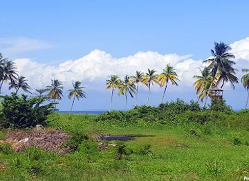 gabon/akanda-national-park/attraction/beach-park