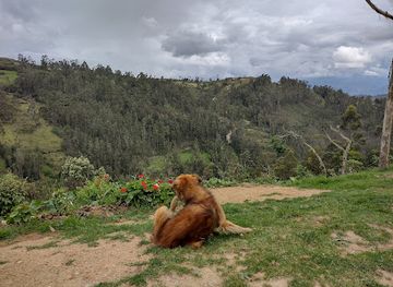 peru/amazonas/attraction/sarcofagos-de-karajia