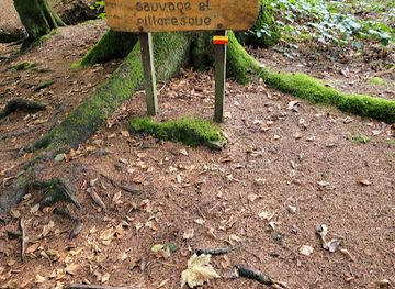 belgium/hautes-fagnes/attraction/promenade-de-la-hoegne-la-hoegne-valley