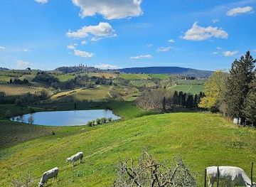 italy/siena/attraction/fattoria-poggio-alloro