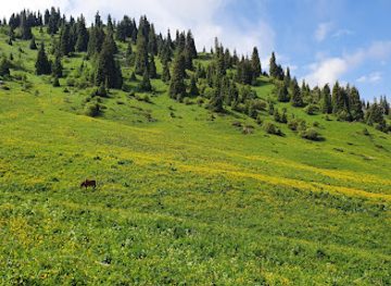 kazakhstan/ile-alatau-national-park/attraction/waterfall-on-kok-zhailau