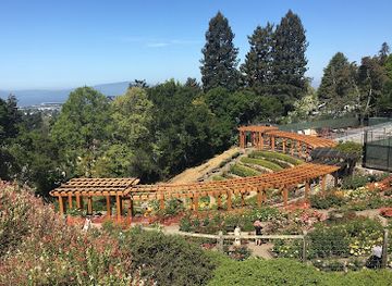 california/san-joaquin-valley/attraction/berkeley-rose-garden
