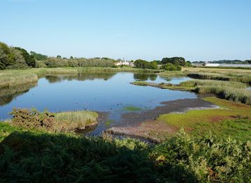 guernsey/st-sampson/attraction/vale-pond-nature-lookout