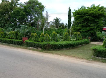 nigeria/ibadan/attraction/sethee-agro-biz-ventures