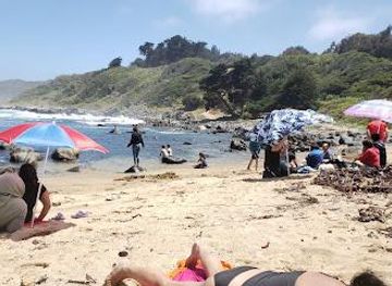 chile/vina-del-mar/attraction/playa-chica-de-quintay