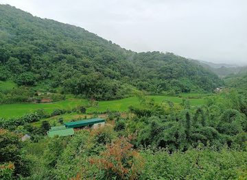 laos/houaphanh-province/attraction/savan-nalivong