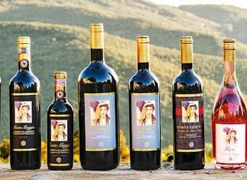 italy/florence/attraction/fattoria-di-montemaggio