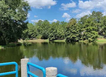 texas/the-woodlands/attraction/wedgewood-park