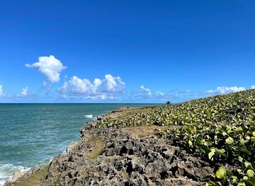 puerto-rico/carolina/attraction/cueva-escondida