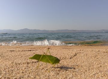 malawi/lake-malawi/attraction/ndunda-beach