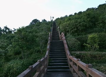 south-korea/jeju-city/jungmun/attraction/beritnae-oreum