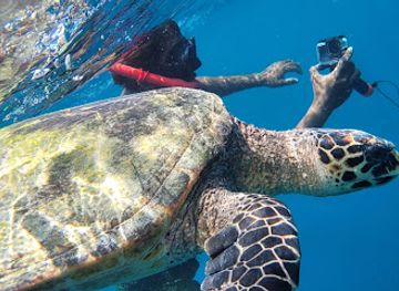 maldives/thoddoo-island/attraction/coral-garden