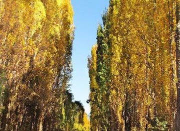 argentina/mendoza/attraction/valle-de-uco