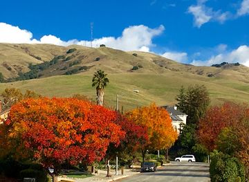california/milpitas/attraction/rancho-higuera-historical-park