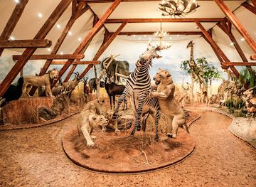 hungary/szabolcs-szatmar-bereg/attraction/hunor-hunting-exhibition