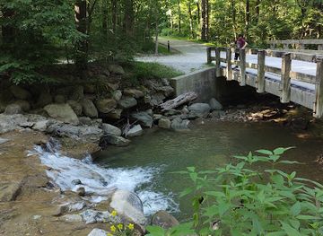 ohio/akron/attraction/mingo-lodge-sand-run-metro-park