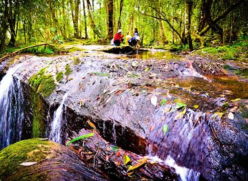 thailand/phu-kradueng/attraction/than-sawan-waterfall