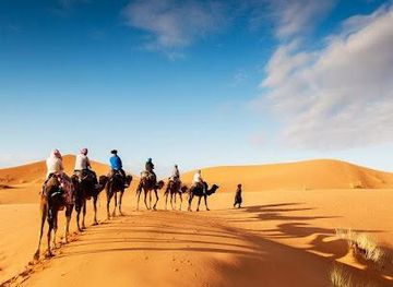 morocco/fes/attraction/uniquely-morocco-tours