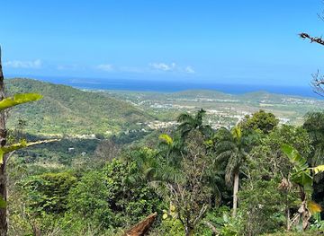 puerto-rico/fajardo/attraction/hacienda-chocolat