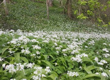 united-kingdom/gloucestershire/attraction/three-groves-wood