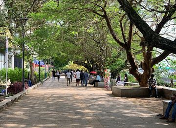 india/kochi/attraction/marine-drive-walkway