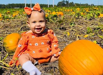 alabama/tombigbee-river/attraction/richardson-farms