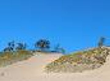 michigan/traverse-city/attraction/dune-climb