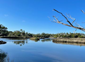 florida/nature-coast/attraction/withlacoochee-gulf-preserve