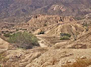 peru/lambayeque/attraction/pampa-grande