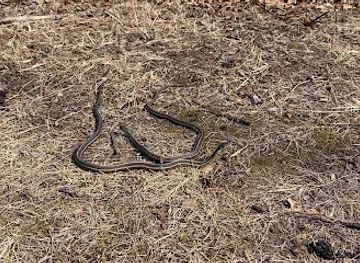indiana/indiana-dunes-national-park/attraction/indiana-dunes-national-park-tolleston-dunes-picnic-area