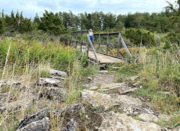 sweden/oland/attraction/stora-alvaret