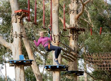 south-africa/pretoria/attraction/acrobranch-pretoria-north