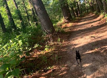 maryland/wye-island-natural-resource-management-area/attraction/yellow-trail