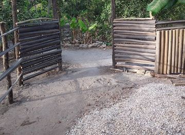 the-gambia/kanifing/attraction/big-tree-garden