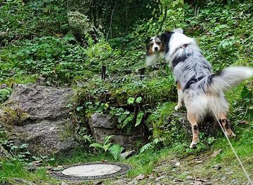 austria/gastein-valley/attraction/clemens-wolf-skulptur
