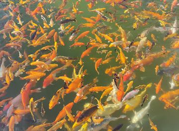 uzbekistan/tashkent-region/attraction/park-tel-mana