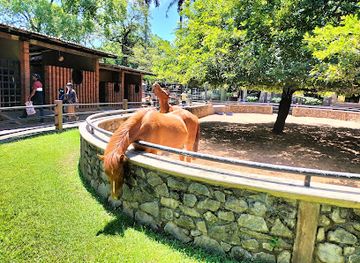 sri-lanka/colombo-district/attraction/colombo-zoo