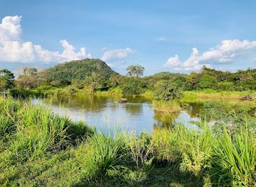 sri-lanka/minneriya-national-park/attraction/sri-lanka-jeep-safari