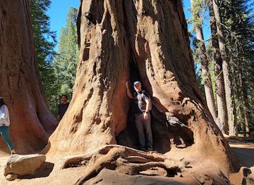 california/sequoia-national-park/attraction/lodgepole-visitor-center
