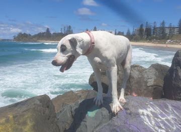 australia/mid-north-coast/attraction/the-boom-reserve