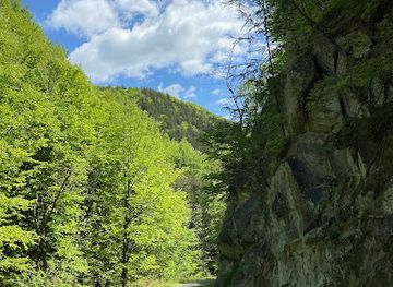 romania/valcea/attraction/cascada-inalta