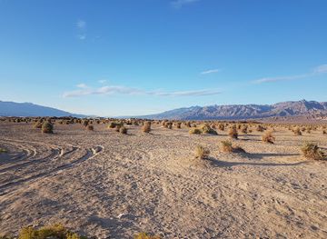 california/death-valley-national-park/attraction/devil-s-cornfield-parking