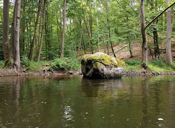 poland/drawa-national-park/attraction/wydrzy-glaz