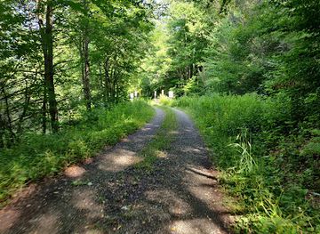 west-virginia/monongahela-national-forest/attraction/cranberry-wilderness