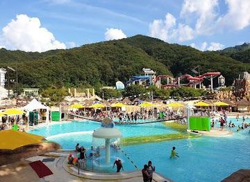 south-korea/chuncheon/attraction/vivaldi-park-ocean-world
