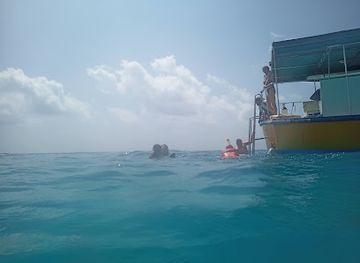 maldives/kaafu-atoll/attraction/snorkel-marine-fauna