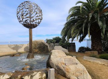 california/monterey/attraction/sanctuary