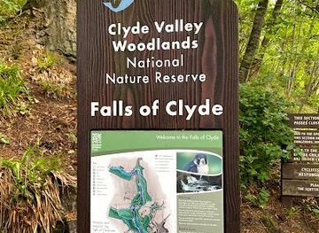 united-kingdom/edinburgh/attraction/the-falls-of-clyde